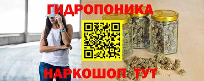 СК Краснознаменск