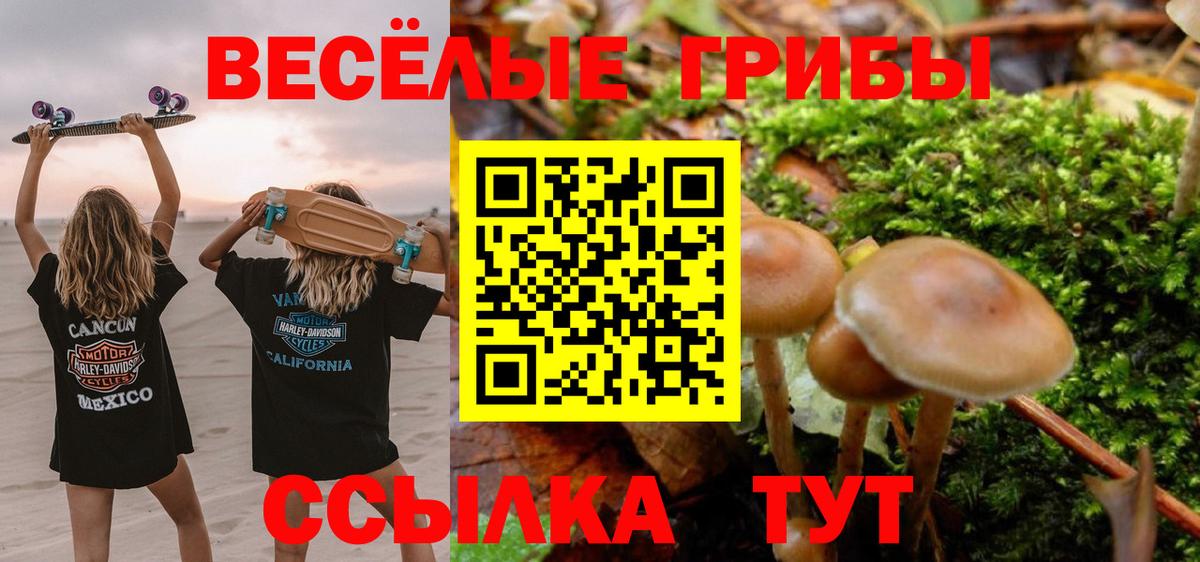 Псилоцибиновые грибы мухоморы Гай